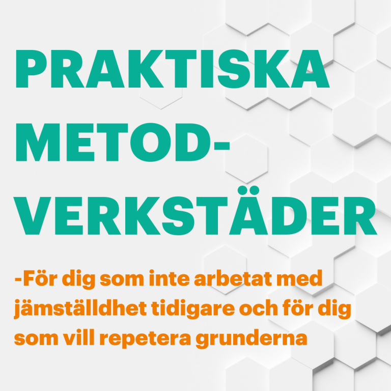 Praktiska metodverkstäder i jämställdhet