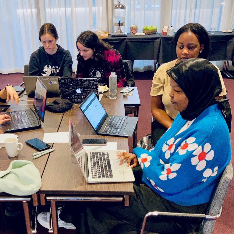 Besök Kvinnohuset, utställningen EUquality Model Now och lär dig programmera