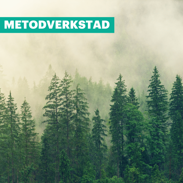 Så integrerar Försvarsmakten jämställdhet i ledarskapet