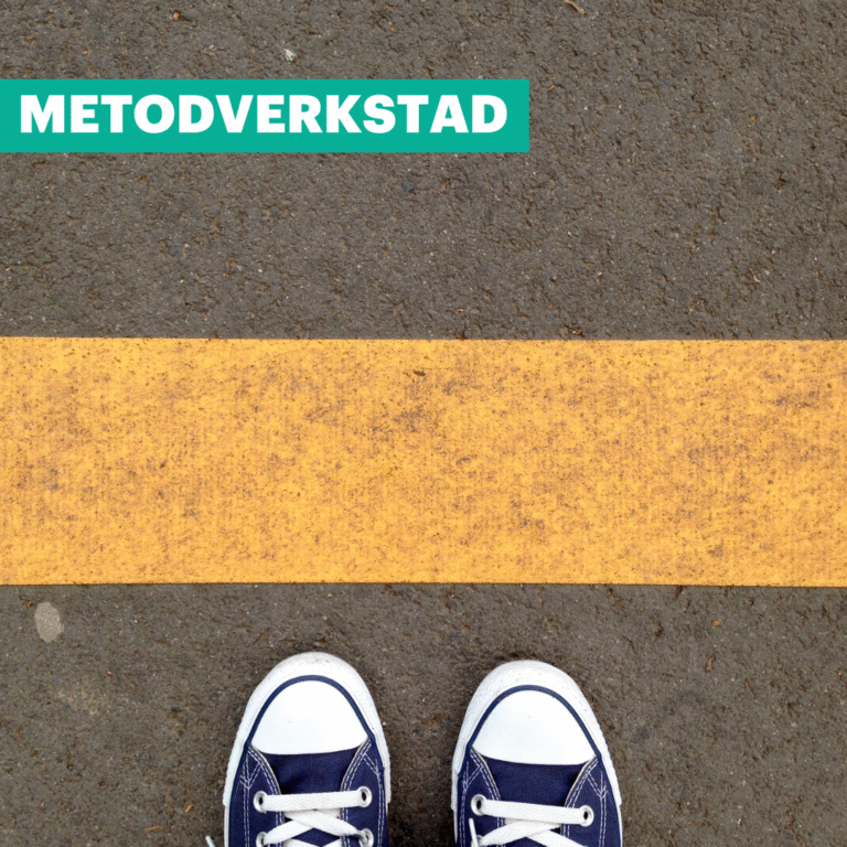 Jämställdhet och funktionshinderspolitiken i praktiken