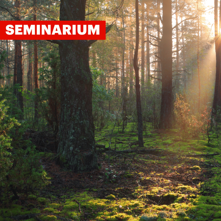 Jämställd skogssektor – en fråga om demokrati?