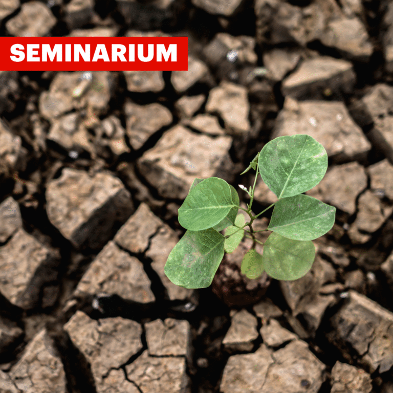 Befolkningens klimatengagemang visar vägen, särskilt kvinnornas. Följer politiken efter?