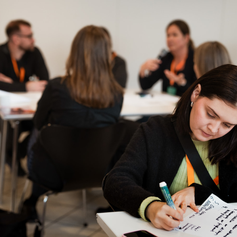 Jämställdhetsrevision